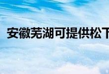 安徽蕪湖可提供松下空調維修服務地址在哪