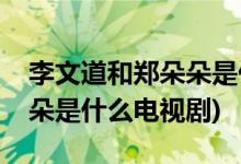 李文道和鄭朵朵是什么電視劇(李文道和鄭朵朵是什么電視劇)