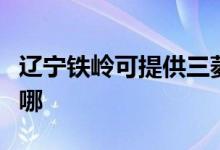 遼寧鐵嶺可提供三菱重工空調(diào)維修服務(wù)地址在哪