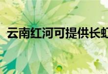 云南紅河可提供長虹空調(diào)維修服務(wù)地址在哪