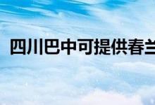 四川巴中可提供春蘭空調(diào)維修服務(wù)地址在哪