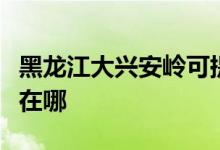 黑龍江大興安嶺可提供統(tǒng)帥空調(diào)維修服務(wù)地址在哪