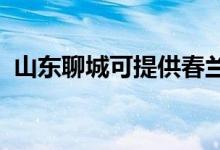 山東聊城可提供春蘭空調(diào)維修服務(wù)地址在哪