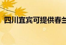 四川宜賓可提供春蘭空調(diào)維修服務(wù)地址在哪