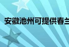 安徽池州可提供春蘭空調(diào)維修服務(wù)地址在哪