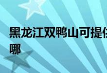 黑龍江雙鴨山可提供統(tǒng)帥空調(diào)維修服務(wù)地址在哪