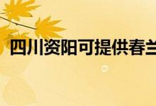 四川資陽可提供春蘭空調(diào)維修服務(wù)地址在哪