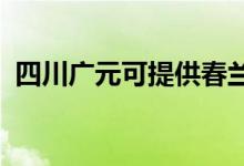 四川廣元可提供春蘭空調(diào)維修服務(wù)地址在哪