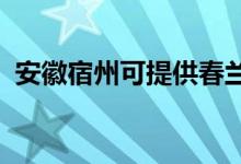 安徽宿州可提供春蘭空調(diào)維修服務(wù)地址在哪