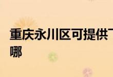 重慶永川區(qū)可提供飛利浦空調(diào)維修服務地址在哪