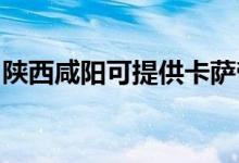 陜西咸陽(yáng)可提供卡薩帝空調(diào)維修服務(wù)地址在哪