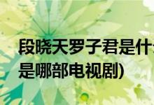 段曉天羅子君是什么電視劇(段曉天羅子君是是哪部電視劇)