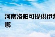 河南洛陽(yáng)可提供伊萊克斯空調(diào)維修服務(wù)地址在哪