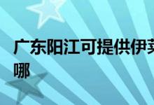 廣東陽江可提供伊萊克斯空調(diào)維修服務(wù)地址在哪