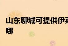 山東聊城可提供伊萊克斯空調維修服務地址在哪