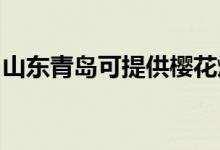 山東青島可提供櫻花燃?xì)庠罹S修服務(wù)地址在哪