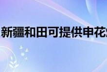 新疆和田可提供申花燃氣灶維修服務(wù)地址在哪