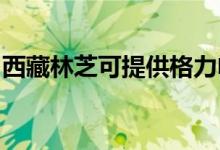 西藏林芝可提供格力電暖器維修服務(wù)地址在哪