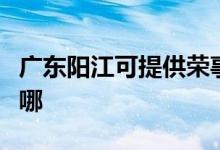 廣東陽江可提供榮事達電暖器維修服務地址在哪