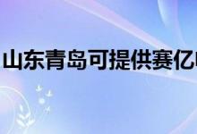 山東青島可提供賽億電暖器維修服務(wù)地址在哪