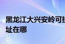 黑龍江大興安嶺可提供康佳電暖器維修服務地址在哪