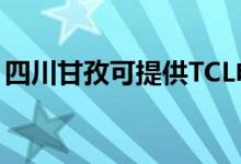 四川甘孜可提供TCL電暖器維修服務(wù)地址在哪