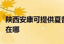 陜西安康可提供夏普空氣凈化器維修服務(wù)地址在哪