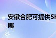 安徽合肥可提供SKG榨汁機(jī)維修服務(wù)地址在哪