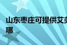 山東棗莊可提供艾美特榨汁機(jī)維修服務(wù)地址在哪