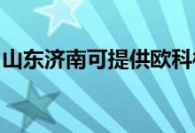 山東濟(jì)南可提供歐科榨汁機(jī)維修服務(wù)地址在哪