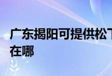 廣東揭陽可提供松下空氣凈化器維修服務(wù)地址在哪