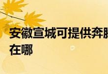 安徽宣城可提供奔騰空氣凈化器維修服務(wù)地址在哪