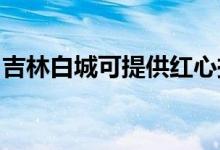 吉林白城可提供紅心掛燙機(jī)維修服務(wù)地址在哪