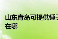 山東青島可提供錘子空氣凈化器維修服務(wù)地址在哪