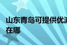 山東青島可提供優(yōu)派空氣凈化器維修服務(wù)地址在哪