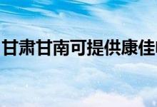 甘肅甘南可提供康佳電吹風(fēng)維修服務(wù)地址在哪