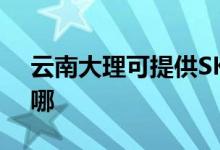 云南大理可提供SKG電吹風(fēng)維修服務(wù)地址在哪