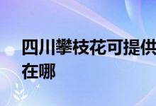 四川攀枝花可提供SKG剃須刀維修服務(wù)地址在哪