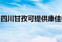 四川甘孜可提供康佳電吹風(fēng)維修服務(wù)地址在哪