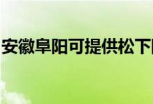 安徽阜陽可提供松下除濕機(jī)維修服務(wù)地址在哪