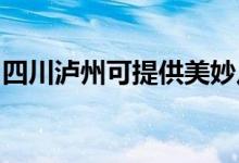 四川瀘州可提供美妙足浴盆維修服務(wù)地址在哪