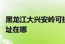 黑龍江大興安嶺可提供紅心足浴盆維修服務(wù)地址在哪