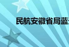 民航安徽省局藍天幼兒園的地址在哪