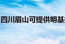 四川眉山可提供明基投影機(jī)維修服務(wù)地址在哪