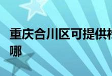 重慶合川區(qū)可提供松下投影機(jī)維修服務(wù)地址在哪