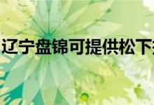 遼寧盤錦可提供松下投影機(jī)維修服務(wù)地址在哪