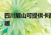 四川眉山可提供卡西歐投影機(jī)維修服務(wù)地址在哪