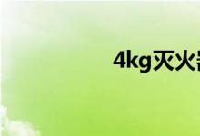 4kg滅火器多少錢一個(gè)