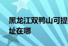 黑龍江雙鴨山可提供aigo投影機(jī)維修服務(wù)地址在哪