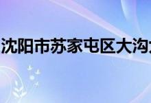 沈陽(yáng)市蘇家屯區(qū)大溝九年一貫制學(xué)的地址在哪